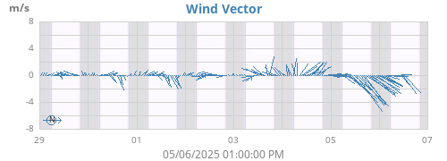 Wind Vector